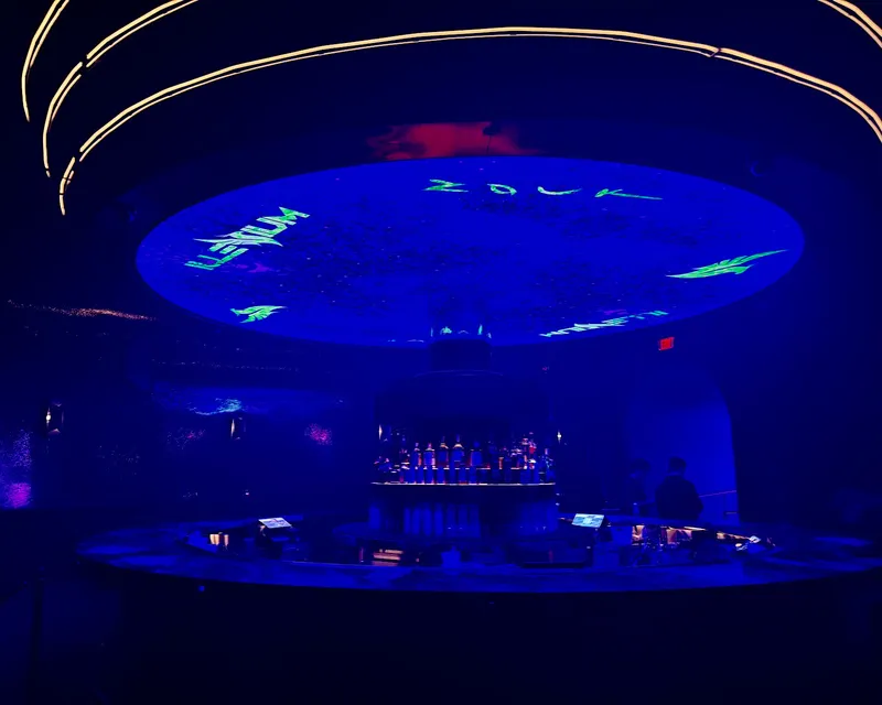 Zouk Nightclub - Image 2