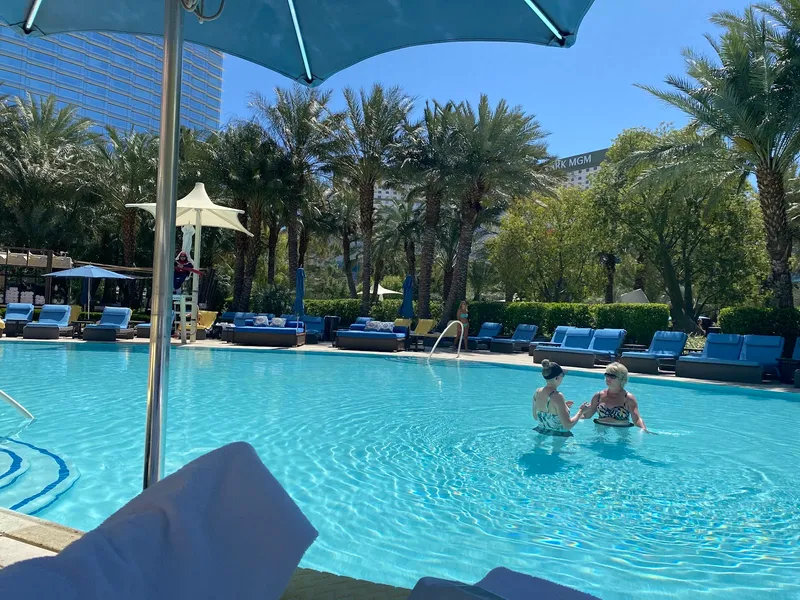 ARIA Sky Suites Pool - Image 4