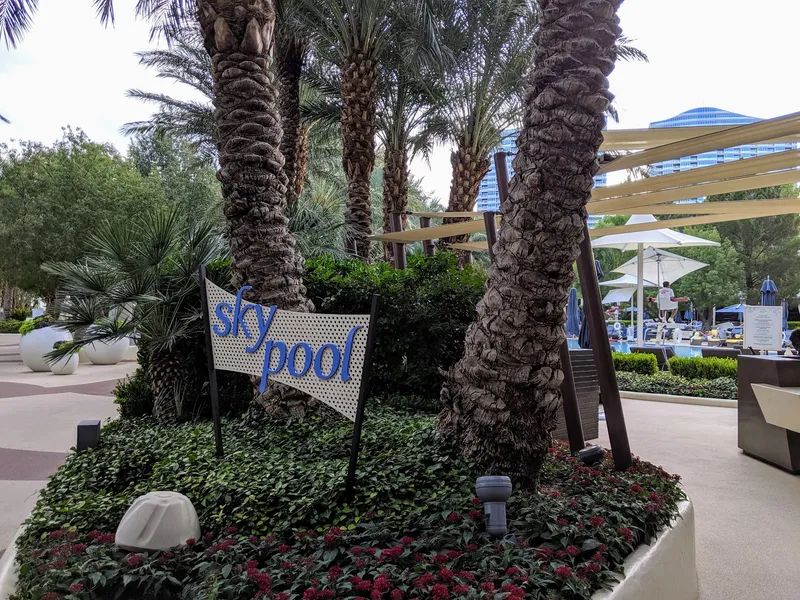 ARIA Sky Suites Pool - Image 5