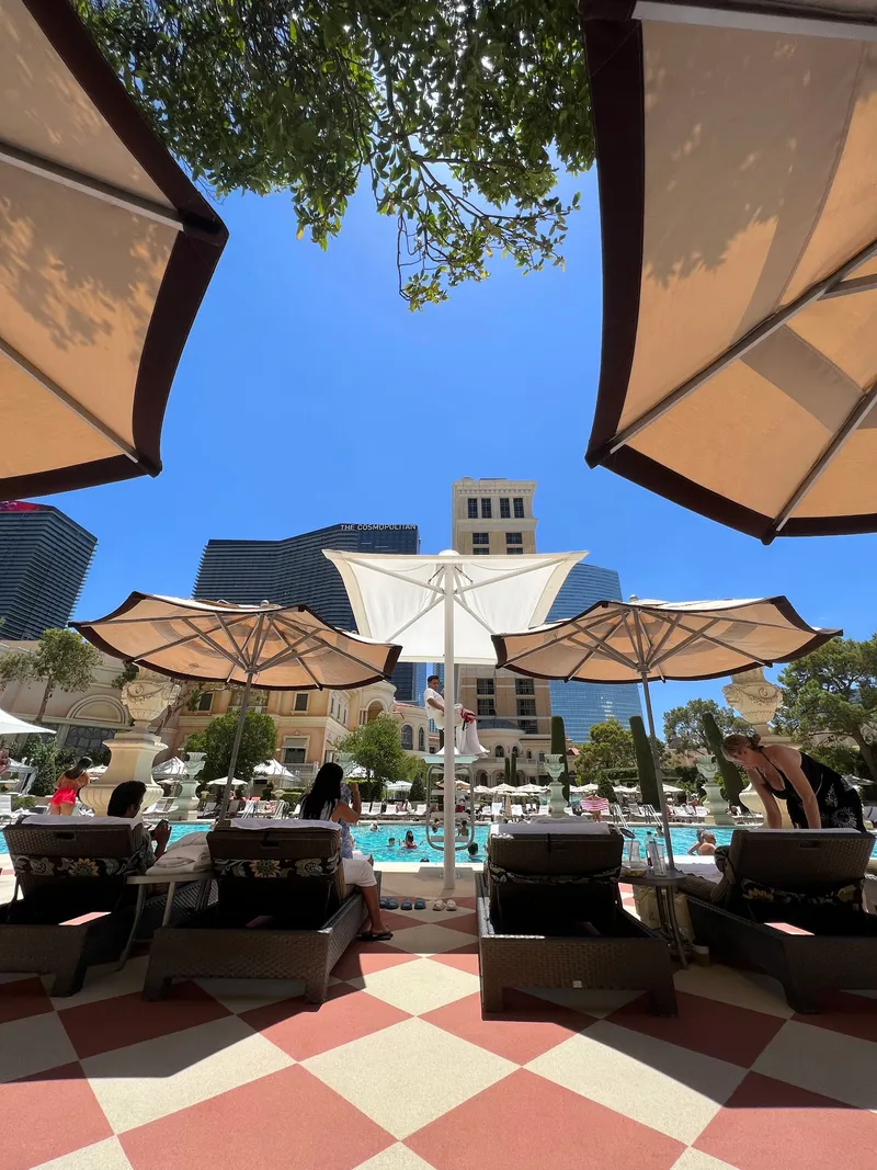 Bellagio Pool - Image 9