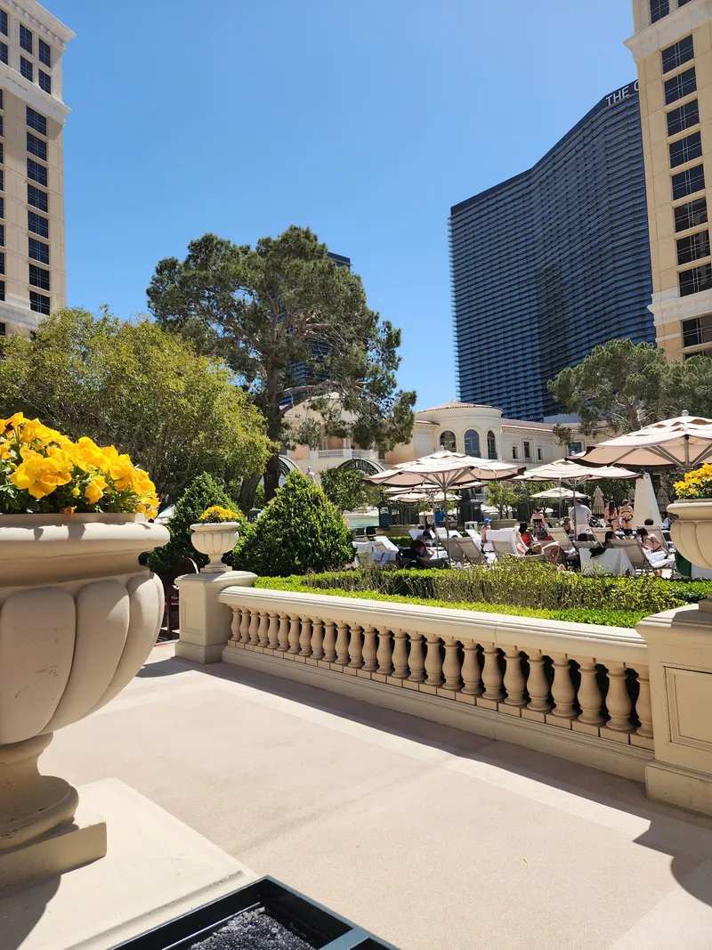 Bellagio Pool - Image 6