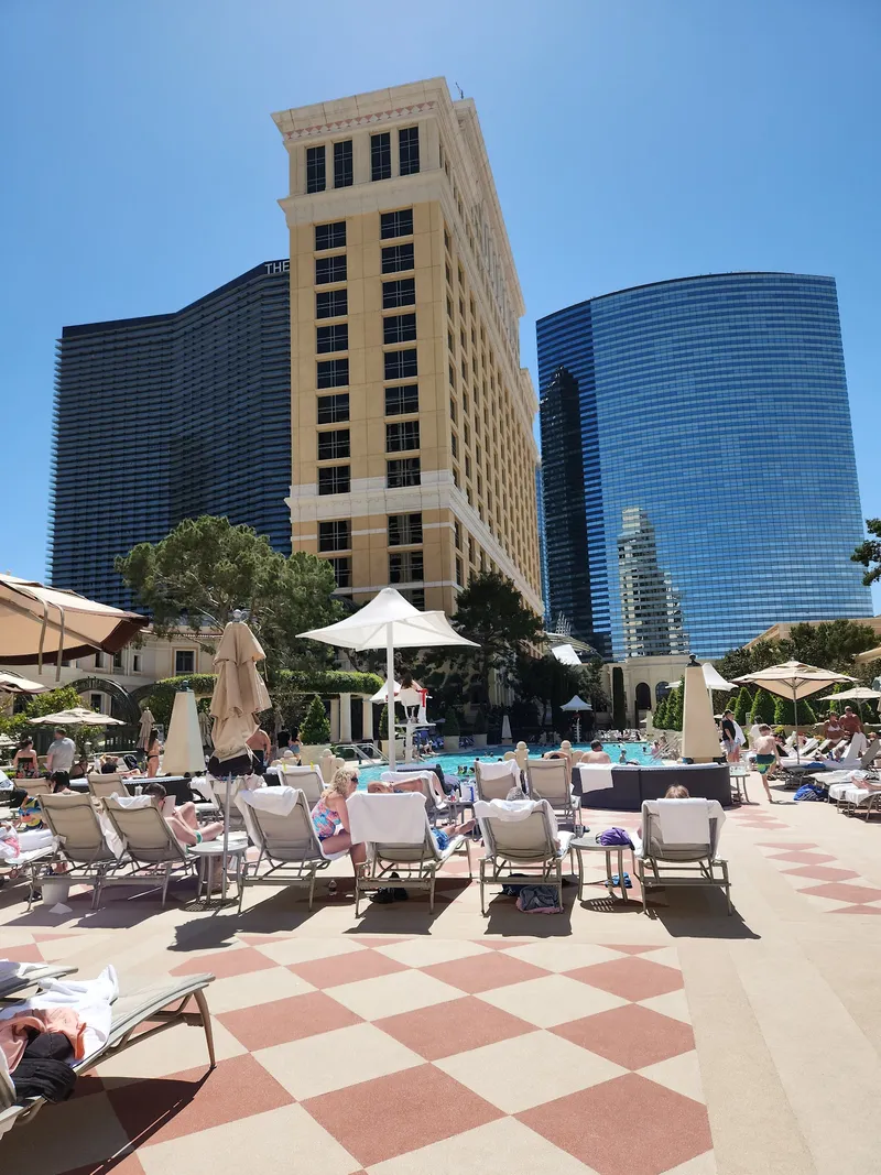 Bellagio Pool - Image 8