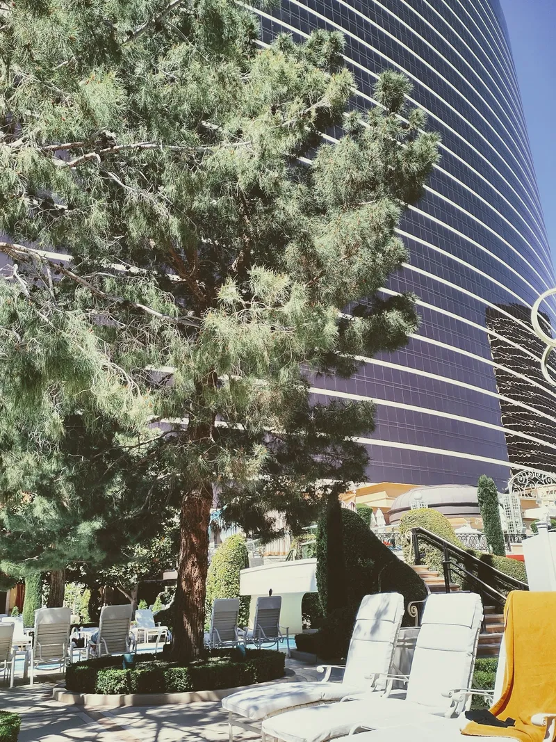 Encore at Wynn Pool - Image 7