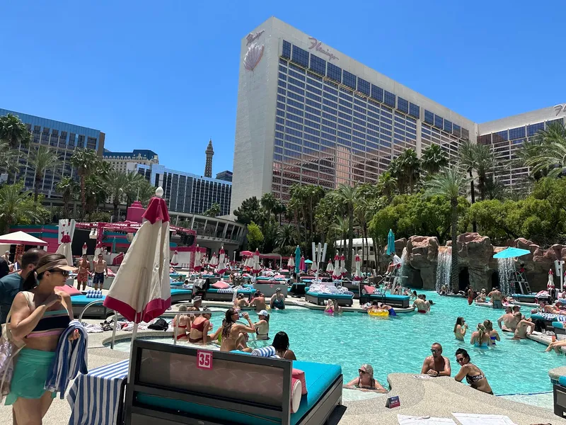 Flamingo Pool - Image 4