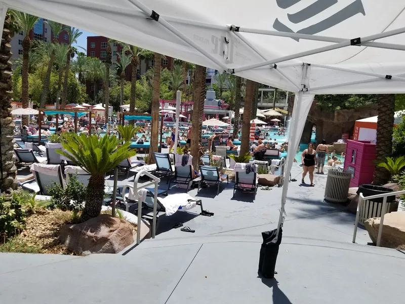 Flamingo Pool - Image 7