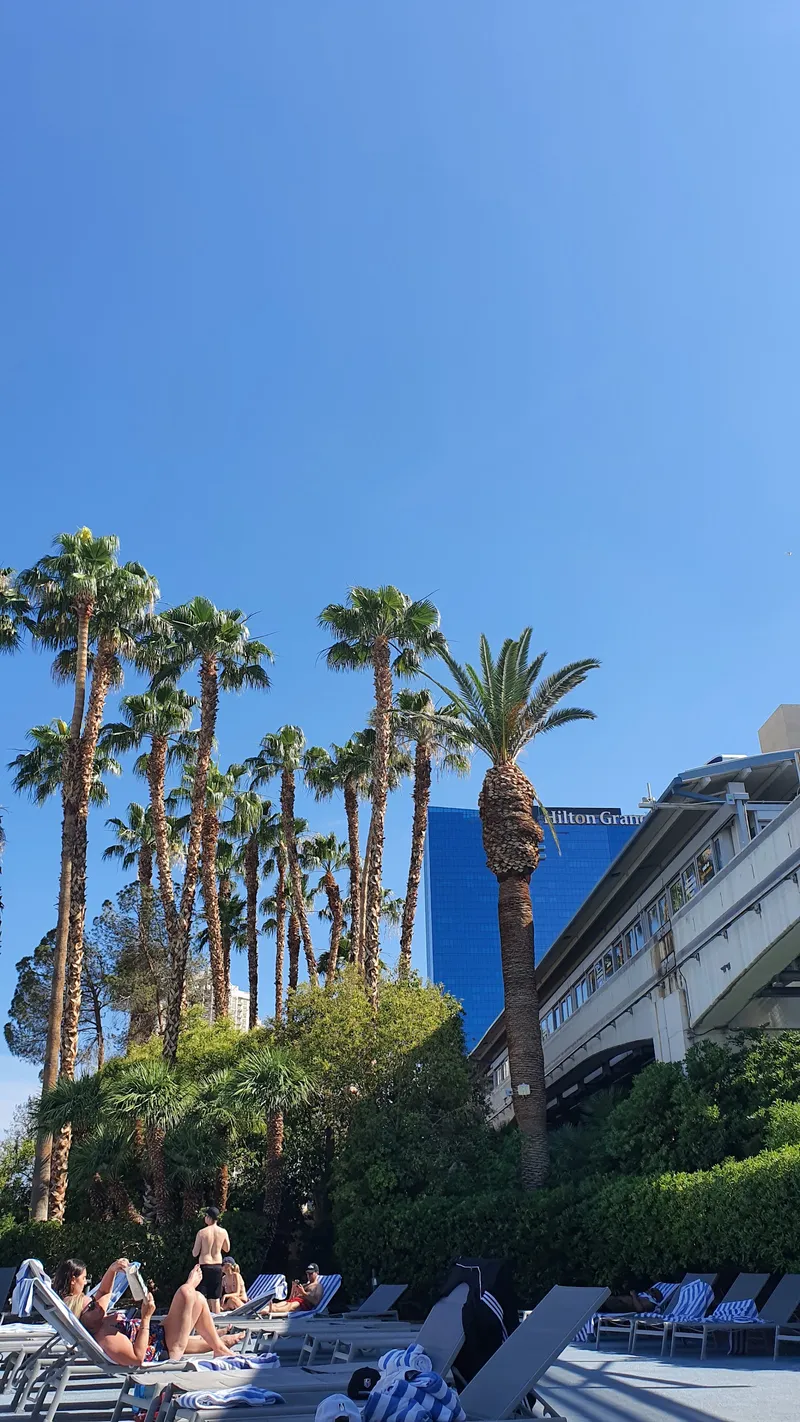 Horseshoe Las Vegas Pool - Image 6