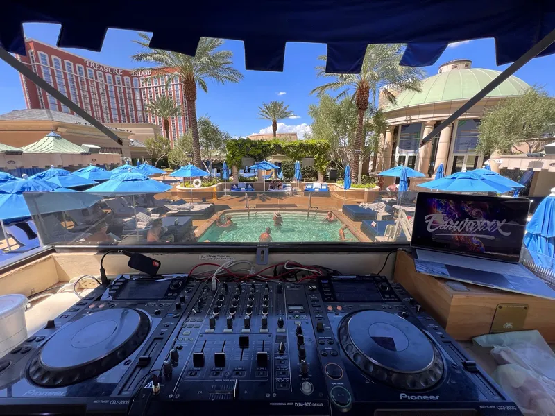 The Palazzo at The Venetian Pool - Image 4