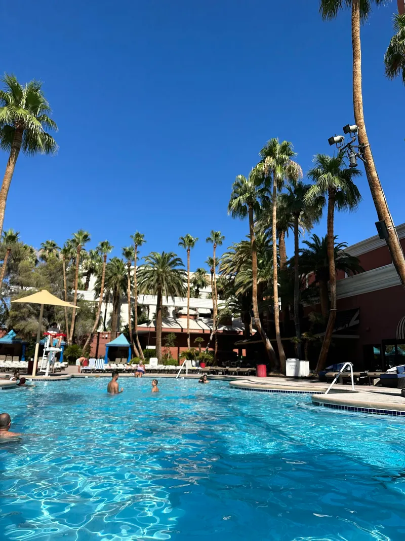 Treasure Island - TI Pool - Image 5